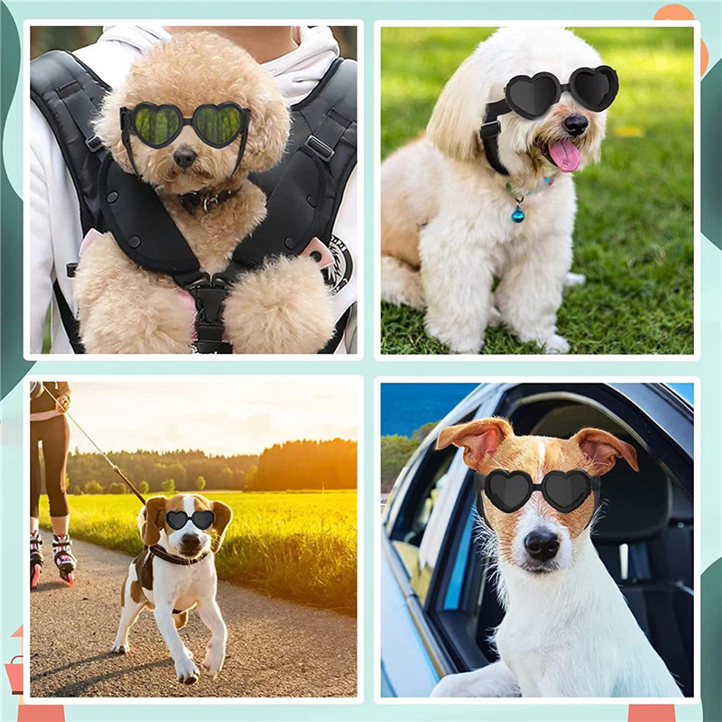 1 PC Heart-shaped Small Dog Su - Sunglass Retainer Cord avaliação e preço